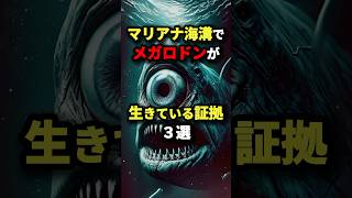 マリアナ海溝でメガロドンが生きている証拠3選 都市伝説 [upl. by Zoes]