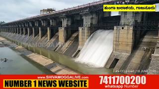 Shimoga Gajanur Dam Four Gates Opened  Tunga River Shimoga [upl. by Eirollam274]