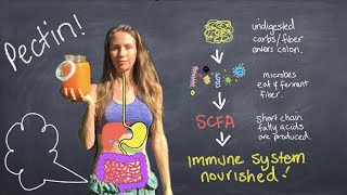 How to have excellent digestion The Best immuneboosting foods for gut microbiome [upl. by Atinus]