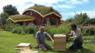 Beekeeping  How to use the Rose Hive Method Part 1 [upl. by Ebeneser783]