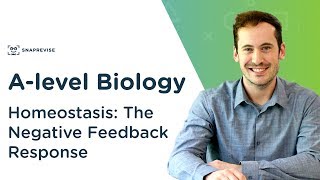 Homeostasis The Negative Feedback Response  Alevel Biology  OCR AQA Edexcel [upl. by Cirone]