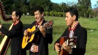 LOS HNOS VAZQUEZ PAREDES  SERENATA SIN PERMISO [upl. by Moreville57]