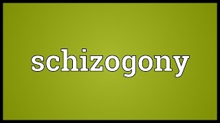 Schizogony Meaning [upl. by Uolymme]