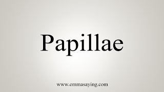 How To Say Papillae [upl. by Eninaj]