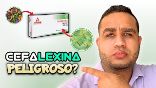 CEFALEXINA 500 mg PARA QUE SIRVE EN EL EMBARAZO  EN PERROS  DOSIS [upl. by Riorsson]