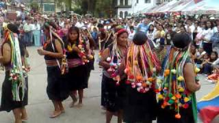 DANZA INDIGENA AUTOCTONA PUTUMAYO [upl. by Lecroy]