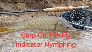 Fly Fishing  Carp On The Fly  Red Marabou Nymph Tying [upl. by Ellenar935]