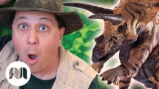 What Do Dino Bones Look Like 🦖  TRex Ranch Dinosaur Videos for Kids [upl. by Selemas]