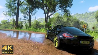 Porsche Cayman GTS Unleashed in FORZA HORIZON 5 forzahorizon5 porschecar [upl. by Rodi811]