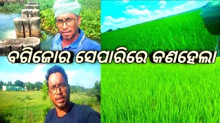 ବଗିଜୋର ସେପାରିରେ କଣହେଲା bagijora separire kanhela [upl. by Acirat937]