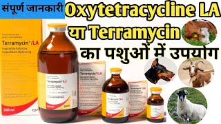 Oxytetracycline Injection Veterinary use Hindi ऑक्सीटेटरासाइक्लिनइंजेक्शन का कौन से पशु में उपयोग [upl. by Oruhtra]