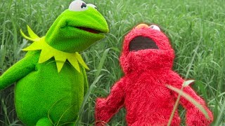 Kermit the Frog and Elmos Backyard Challenge [upl. by Adnalor965]