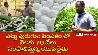 మల్బరీ పట్టుపురుగుల పెంపకంతో నెలకు 70 వేలు సంపాదిస్తున్న యువ రైతు  Mulberry Cultivation  But [upl. by Htinek]