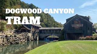 Take a ride with me on the Dogwood Canyon tram tour and the Top of the Rock [upl. by Aileahcim289]