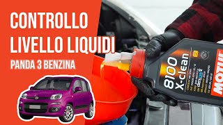 Controllo e rabbocco livello liquidi Panda 3 12 8V 📏 [upl. by Oranneg]