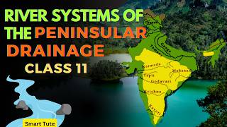 River Systems of the Peninsular Drainage  Drainage System  Class 11 Geography  NCERT [upl. by Eanwahs]