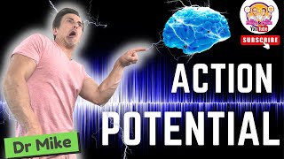 Action Potential  Graded Potentials [upl. by Innek929]