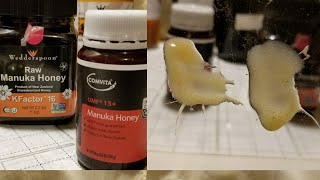 Manuka Honey Compared UMF15 VS Kfactor16 [upl. by Ylrebmik872]