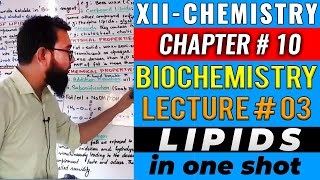 XIIChem  CH10  Biochemistry  Lipids [upl. by Rudy359]