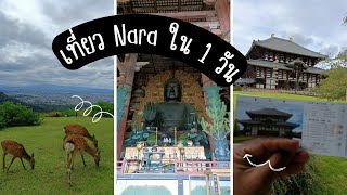 Kansai Japan EP45  หนึ่งวันเที่ยว Nara เมืองแห่งกวาง [upl. by Hathaway543]