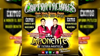 ⭐  La Movidita  Los Imponentes de Tierra Mixteca Audio en vivo [upl. by Acinorav372]