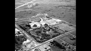 60 Years of Busch Gardens  Busch Gardens Tampa Bay [upl. by Frazer]