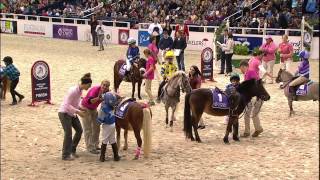 WIHS Shetland Pony Steeplechase Race 2 Thursday Oct 23 2014 [upl. by Ahsaten]