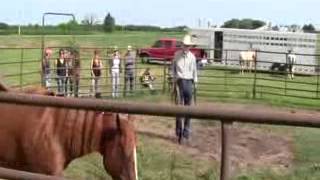 Clinic2015 Round pen Demo with Smokie Brannaman [upl. by Hyacinth]