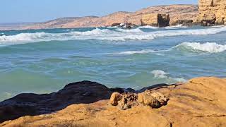 The sea 🌊 through which millions of Algerians crossed ✈️ to Barcelona 🇪🇸 [upl. by Rosaline]