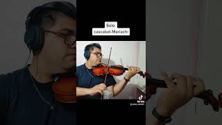 cascabel violín solo mariachi [upl. by Annaeed]