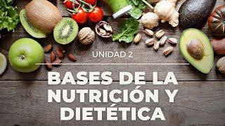 Bases de la nutrición y dietética [upl. by Leseil609]