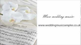 Canon in D Pachelbel  Wedding Processional Music [upl. by Alahcim]