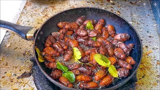 Amazing food  Fried Cockchafer Bug  Awesome Thai Food Recipes   Asian food [upl. by Ntsuj472]