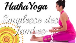 Hatha Yoga  Souplesse des jambes avec Ariane [upl. by Nonnelg83]