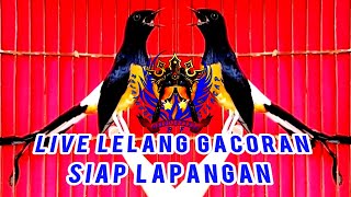 RAJA TAKSAKA CILACAP sedang live sekarang lelang prestasian gacoran prospek [upl. by Lipp498]