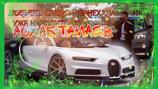 АСХАБ ТАМАЕВ BUGATTI CHIRON ПРИЕХАЛА УЖЕ НАХОДИТСЯ В МОСКВЕ [upl. by Aneerak682]