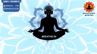 Guided Breathing mantra  5  10 Pranayama Breathing Exercise Level 1 vol 11 [upl. by Wilsey409]