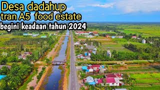 Desa dadahup trans A 5 food estate kalteng [upl. by Gut524]