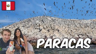 Day Trip to PARACAS  Travel Guide and Video Tour  Peru 🇵🇪 [upl. by Wiebmer33]