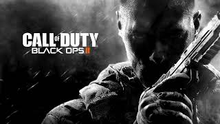 Kevin Sherwood  Carrion Call of Duty Black Ops 2 Zombie 432 Hz [upl. by Milo779]