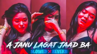 A janu lagat jaad ba slowed reverb  tu hi lover ek number ho ja slowed reverb  bhojpuri lofi song [upl. by Bollinger]