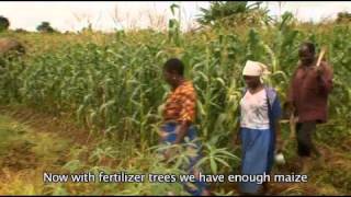 Harvesting Hope 3 World Agroforestry Centre [upl. by Sue]