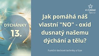 DÝCHÁNKY 13  Jak pomáhá náš vlastní quotNOquot  oxid dusnatý našemu dýchání a tělu [upl. by Georgeta]