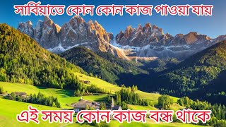 সার্বিয়া তে কাজ পাওয়া যাচ্ছে না কেন Serbia visa update 2024 [upl. by Jillane]