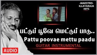 PATTU POOVE METTU PAADU GUITAR INSTRUMENTAL BY TPK VINAYAK [upl. by Novyert]