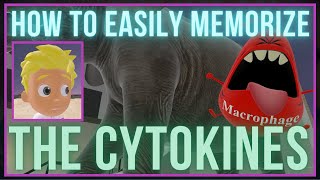 How to EASILY Memorize the Cytokines [upl. by Adnical]