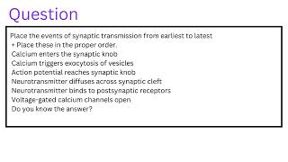 Place the events of synaptic transmission from earliest to latest  Place these in the proper order [upl. by Davidoff740]