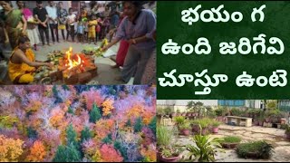 Todays Vlog  Bhayam ga undi jarigevi chustu unte [upl. by Zaob]