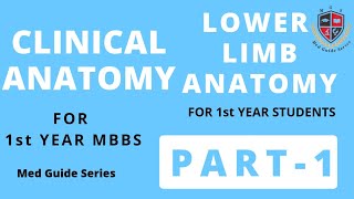 Lower Limb ClinicalsPart1 Clinical Anatomy [upl. by Airdnek]