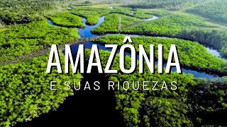 Amazôniariquezas biodivercidadeflorestagarimpoouro mineração riograndedosul catastrófe [upl. by Ferreby]